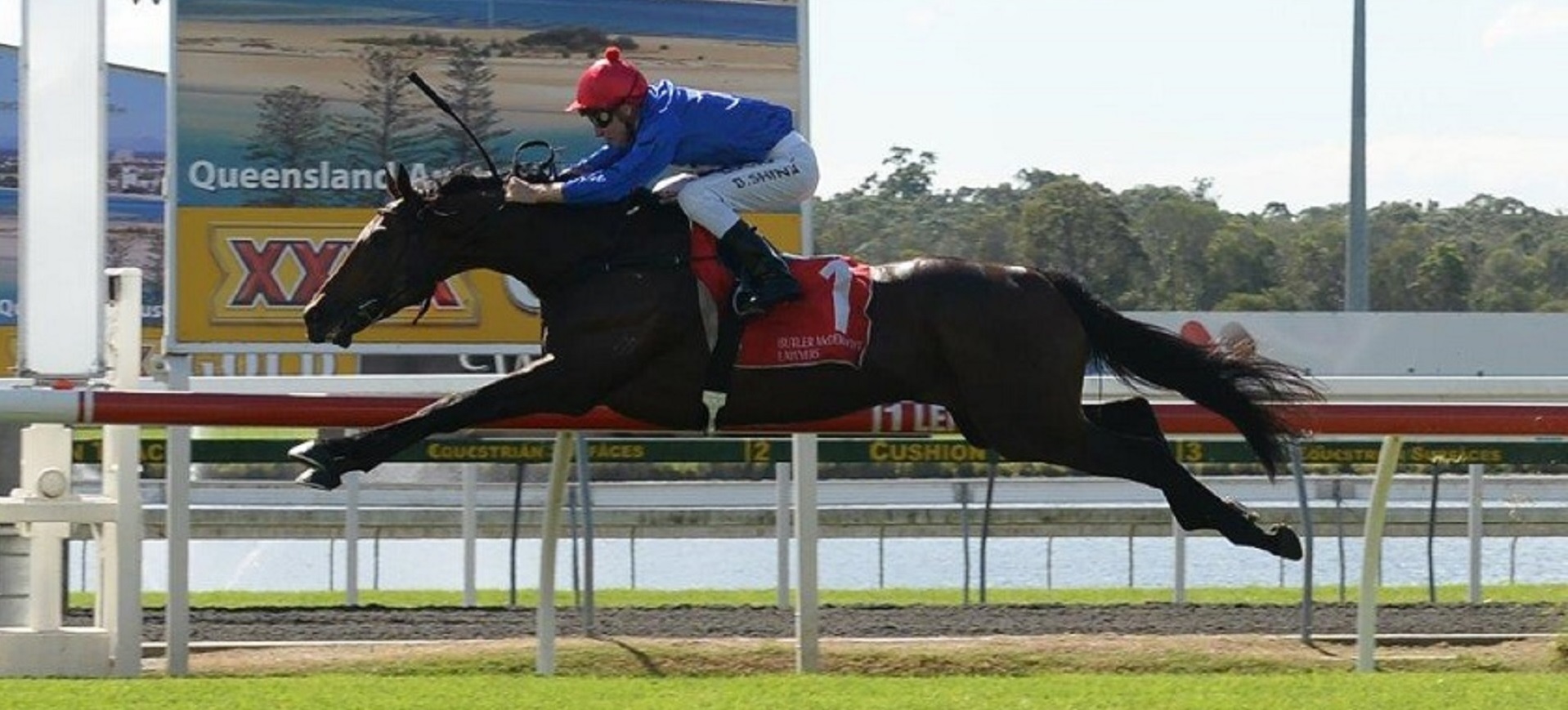 Reneged - a Prime Thoroughbreds legend